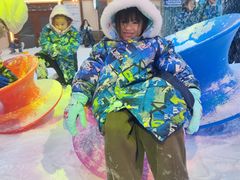 -世界之窗阿尔卑斯冰雪世界