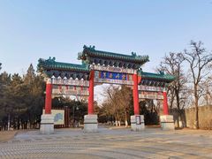-云岗森林公园