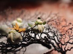 云腿野菜石榴包-解香楼(八盘岭路店)