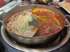 -矮板凳老火锅(宽窄巷子店)