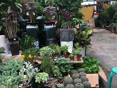 -秦美花卉(天朗·莱茵小城2期店)