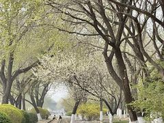 -永定河休闲森林公园