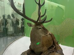 -国家自然博物馆