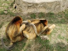 -西安秦岭野生动物园