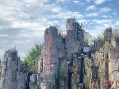 -秀丽东方