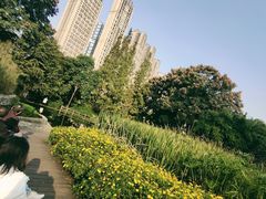 -成都市活水公园