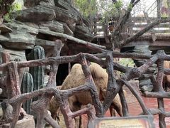 -长鹿旅游休博园