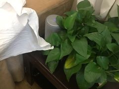 -宜华康盲人按摩(马连洼旗舰店)