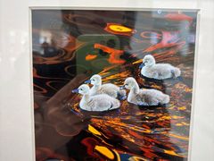 -罗红摄影艺术馆