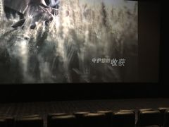 -中影国际影城(大唐西市4K临境音店)