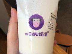 -一只酸奶牛(八一路店)
