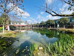 -洪湖家庭农场·团建·露营·会议