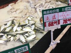-御唐府海珊瑚主题餐厅