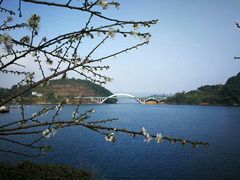 -广州市流溪河国家森林公园
