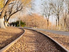 -永定河休闲森林公园