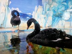 -常州海昌海洋探索馆
