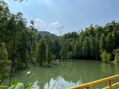 -广州市帽峰山景区