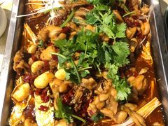 -虾恋蛤蟆功
