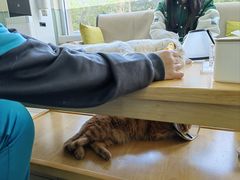 -美迦爱-牙专科·兔科·骨科诊疗中心(北苑店)