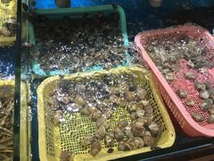 -鑫悦楼煎蟹·16年海鲜大排档