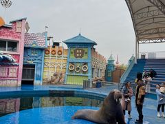 -华夏文旅海洋公园