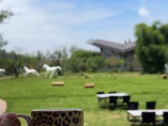 -中国天府农业博览园