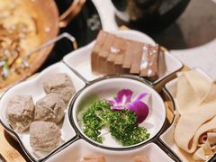 -京韵胡同·酱香羊蝎子火锅涮肉(长寿路店)