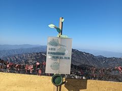 -洛阳白云山景区