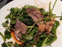 香菜拌牛肉-徐记海鲜(陕西历史博物馆|明德门店)