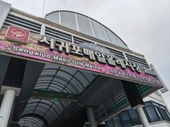 -西归浦每天偶来市场