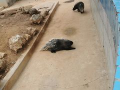 -石家庄市动物园