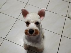 -宠颐生动物医院·猫科·心脏科(海口分院)