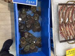 -双井轩(双井店)