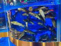 -蛙一刀·麻椒鱼火锅(金仙桥店)