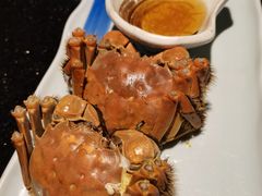 -梅筑·创意料理(王府井百货店)