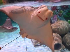 -沈阳海洋探索中心