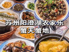 -蟹天蟹地农家菜·阳澄湖大闸蟹(浅水湾店)