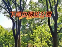 -徐家汇公园