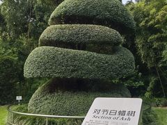 -苏州河梦清园环保主题公园