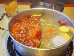 -手选潮汕鲜活牛肉火锅(二七广场店)