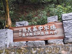 -黄埔油麻山森林公园