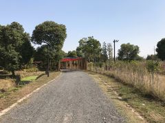 -田园东方蜜桃村的田野营地