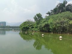 -飞来湖湿地公园