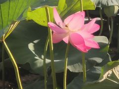 -哈尔滨师范大学(松北校区)