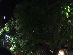 -佬麻雀·剁椒鱼头(京基KK One店)