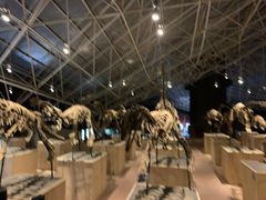 -世界恐龙谷景区