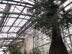 -南山植物园