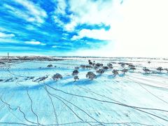 -塞罕坝国家级自然保护区