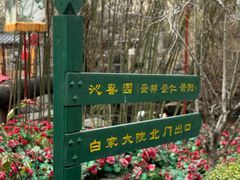 -白家大院·王府宫廷菜(苏州街店)