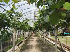 -美家乐农庄·露营·团建(大治路店)